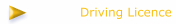 Driving Licence